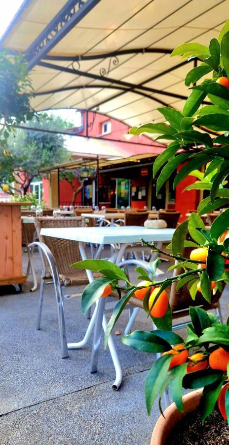 Camping Mas Du Sartre Saint Alban Auriolles Luaran gambar